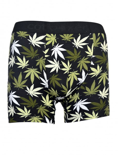 Boxeri de barbati cu marijuana