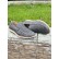 Mocasini pentru barbati cu gauri - gri SU8701-4 1