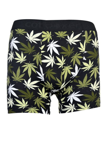 Boxeri de barbati cu marijuana