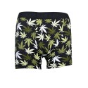 Boxeri de barbati cu marijuana