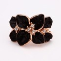 Set Golden rose